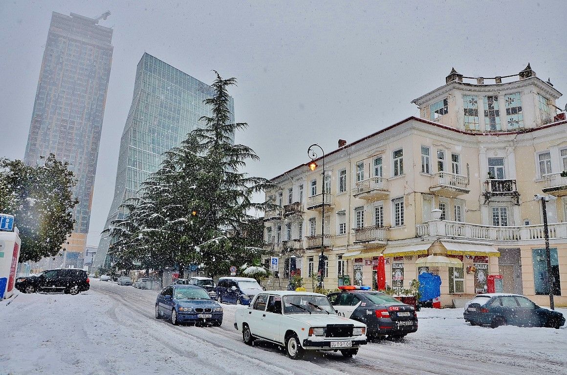 Пальмы в снегу фото